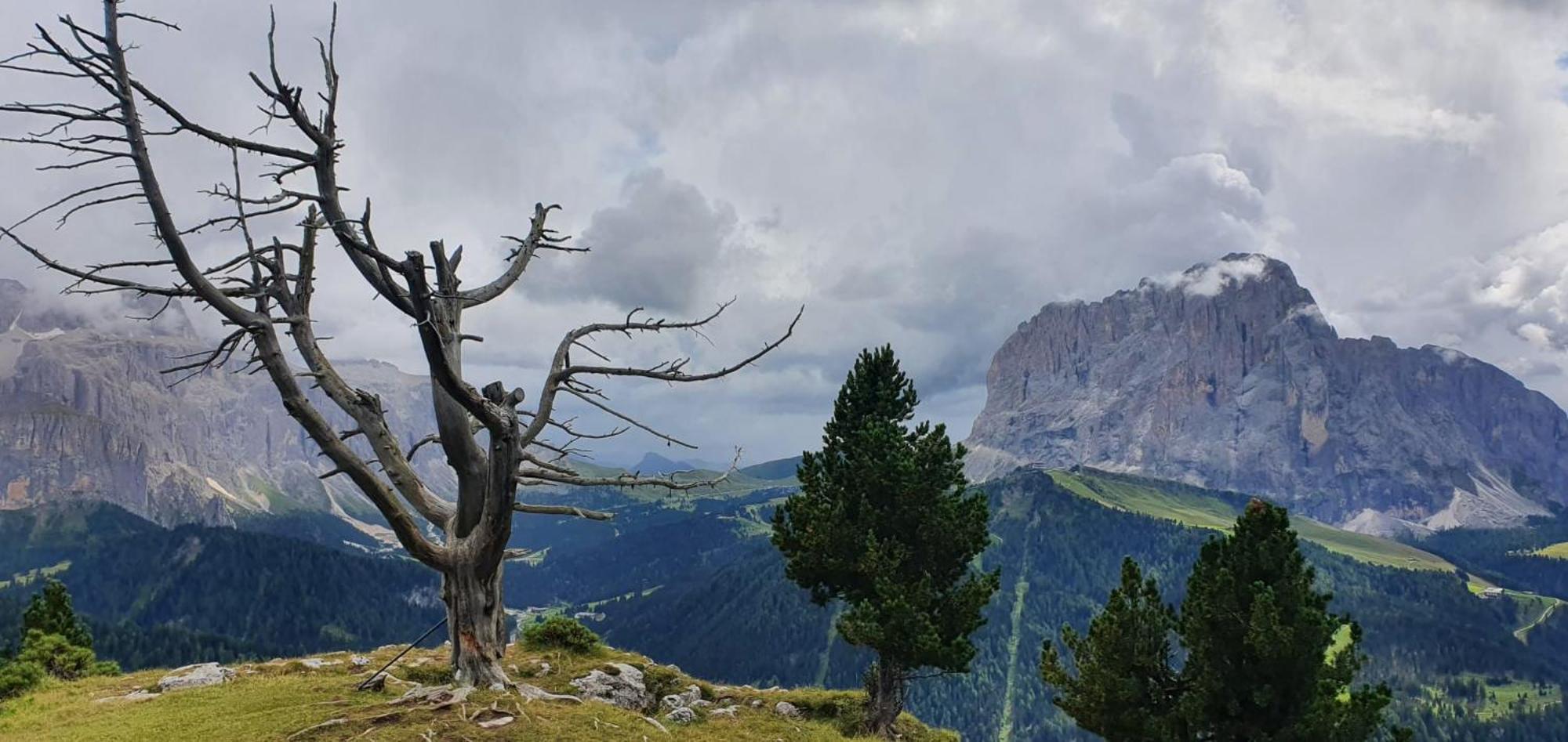 Garni Hotel Iris Selva di Val Gardena Exteriér fotografie
