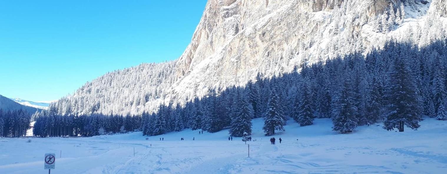 Garni Hotel Iris Selva di Val Gardena Exteriér fotografie