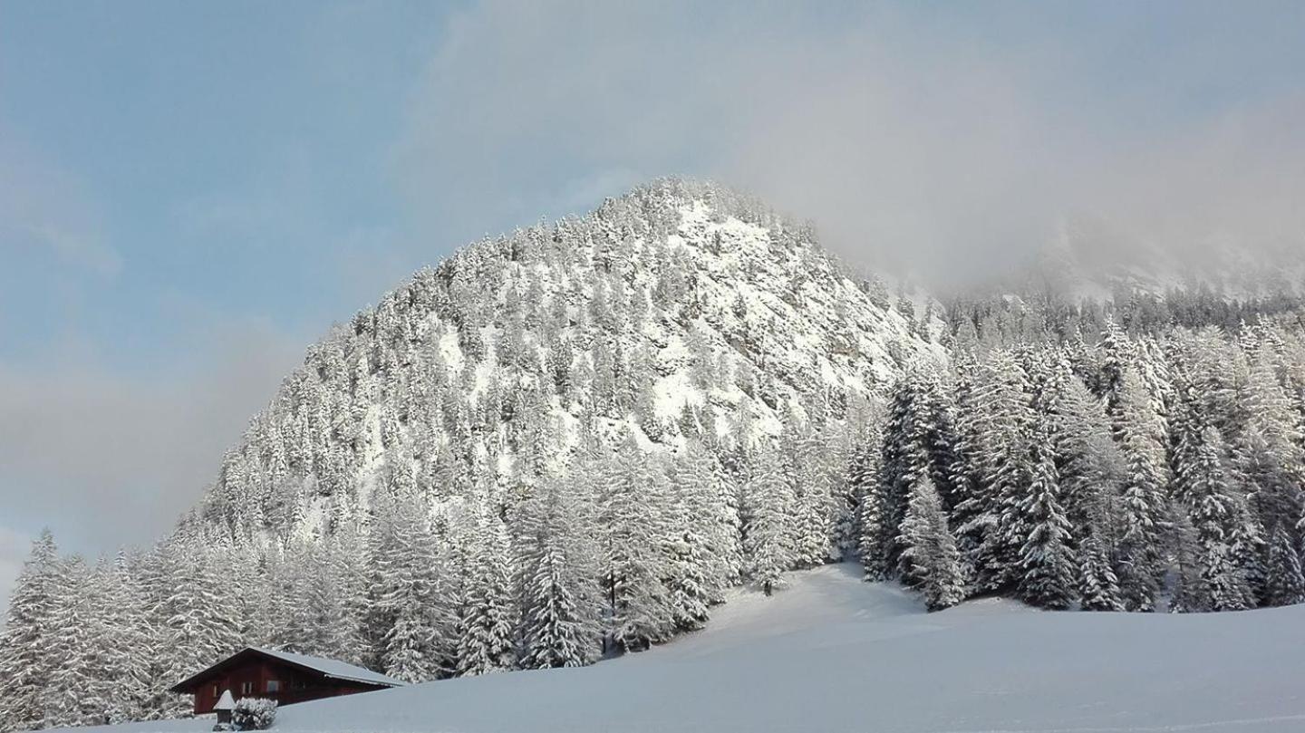 Garni Hotel Iris Selva di Val Gardena Exteriér fotografie