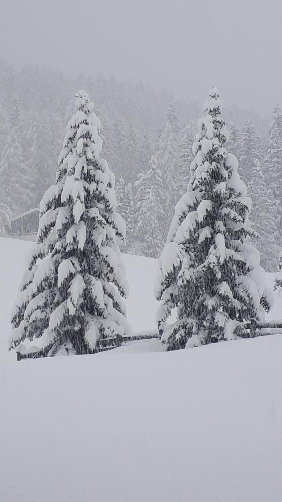 Garni Hotel Iris Selva di Val Gardena Exteriér fotografie