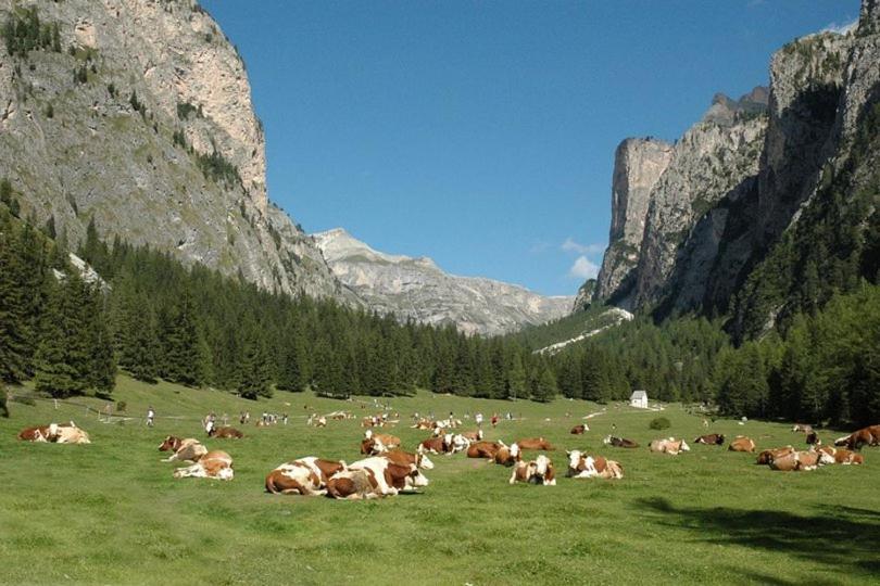 Garni Hotel Iris Selva di Val Gardena Exteriér fotografie